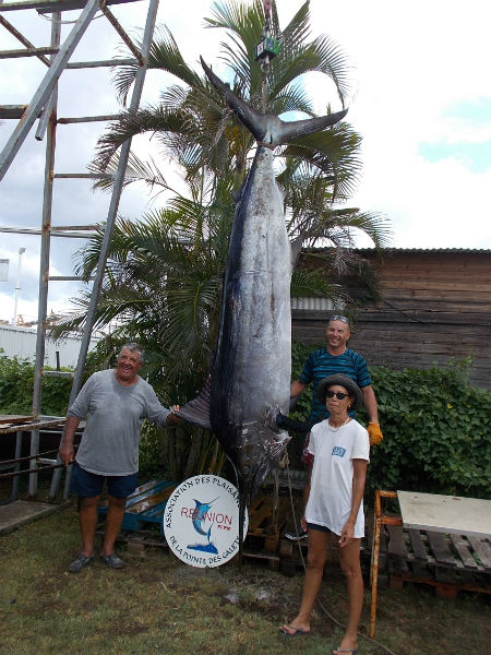 Marlin noir de Cédric de 186,5 kg le 17 février